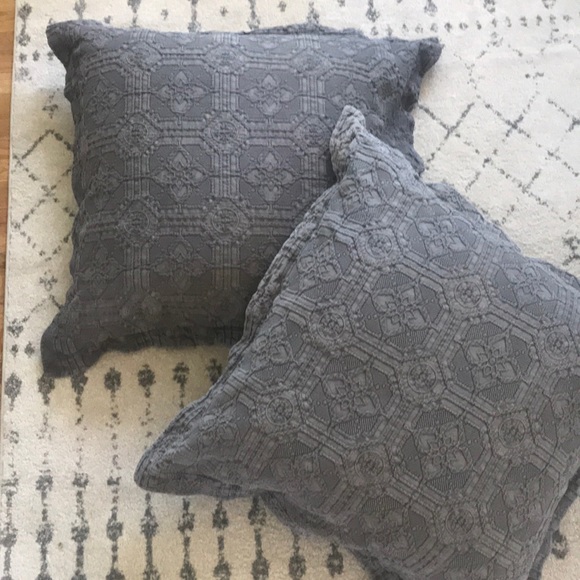 Southern Living Other - Two Southern Living Euro Shams and Pillows